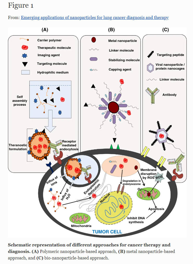 Emerging applications of nanoparticles for lung cancer diagnosis and therapy