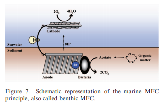 Application of electro-active biofilms