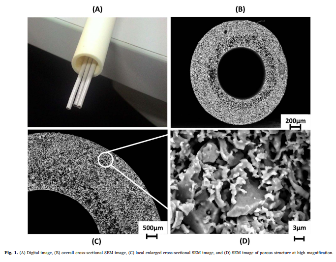 A novel green ceramic hollow fiber membrane (CHFM) derived from rice husk ash as combined adsorbent-s