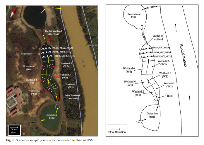 Prediction of water quality index in constructed wetlands using support vector machine