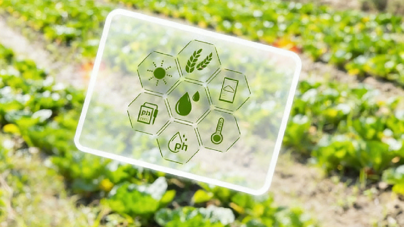 Applied Economics for Global Agri-Food Systems: Methods, Markets, and Policy